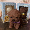 Puppy Love…..squeeze the stress away